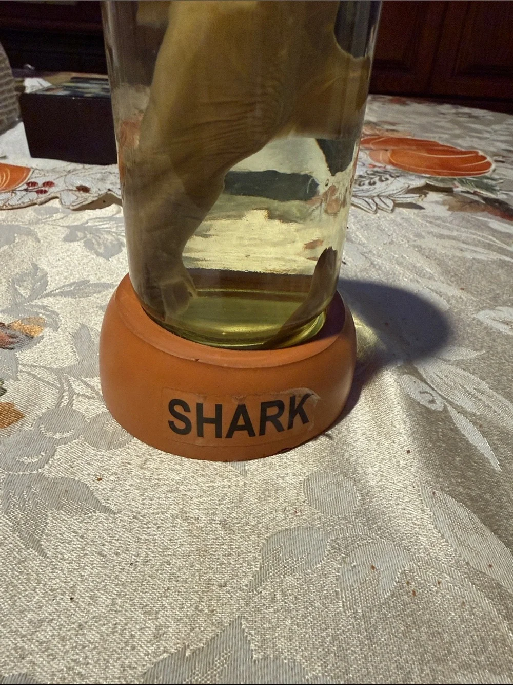 Tan Shark Aquarium Ornament in Glass Jar - Decorative Fish Accent